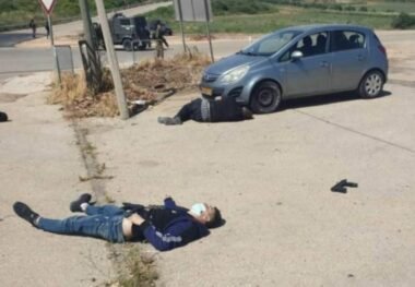 Nazi soldiers Kill Two Palestinians