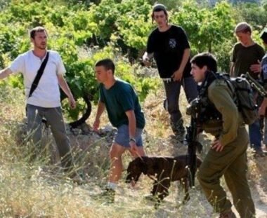 Hebron: Nazi Jewish colonizers Fire At Homes, Assault Displaced Palestinians