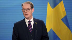Swedish minister stropped at Ukrainian border