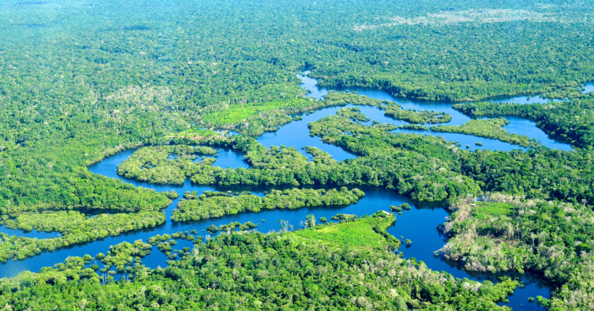 Brazilian experts warn of the risk of western intervention in the Amazon region